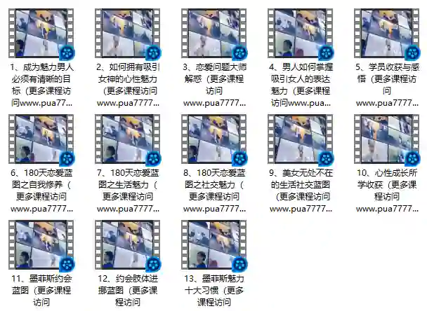 图片[1]-墨菲斯恋爱蓝图课程（高清）-九觉情感社
