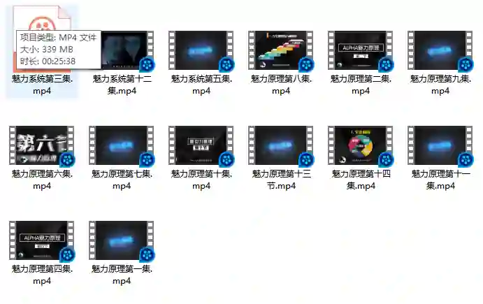 图片[1]-柯李思chris 良叔《魅力原理》-九觉情感社