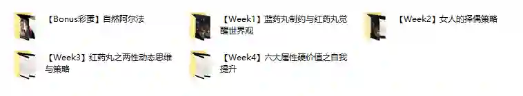 图片[1]-AB《红丸觉醒纪元》-九觉情感社