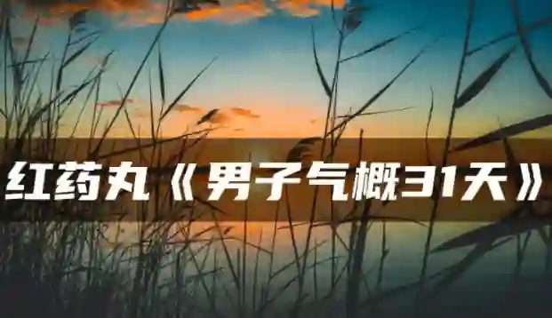 红色药丸《男子气概31天》-九觉情感社