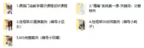 图片[1]-黑猫门徒核心课-九觉情感社