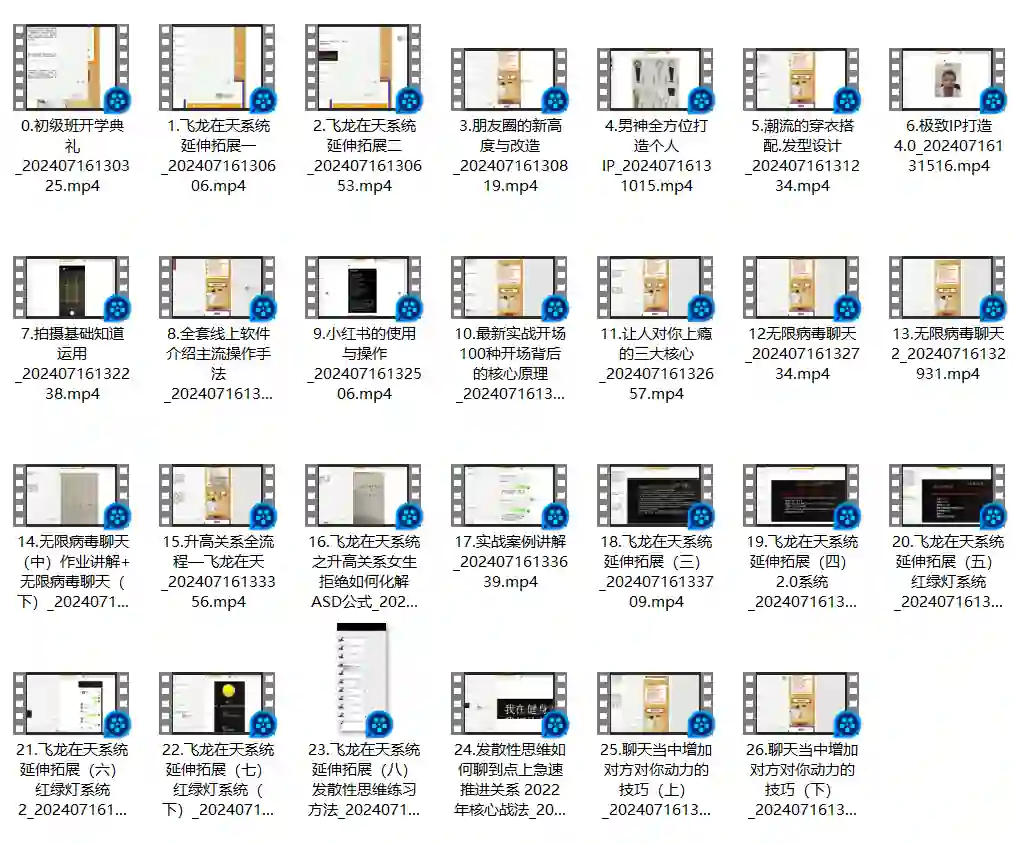 男哥内核3.0初级班内部课-九觉情感社